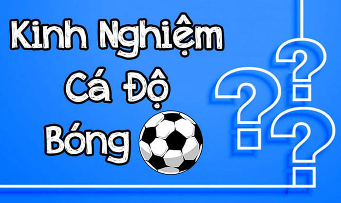 Kinh nghiệm cá độ bóng đá - Kinh nghiệm cá độ nâng cao khả năng thắng cược.